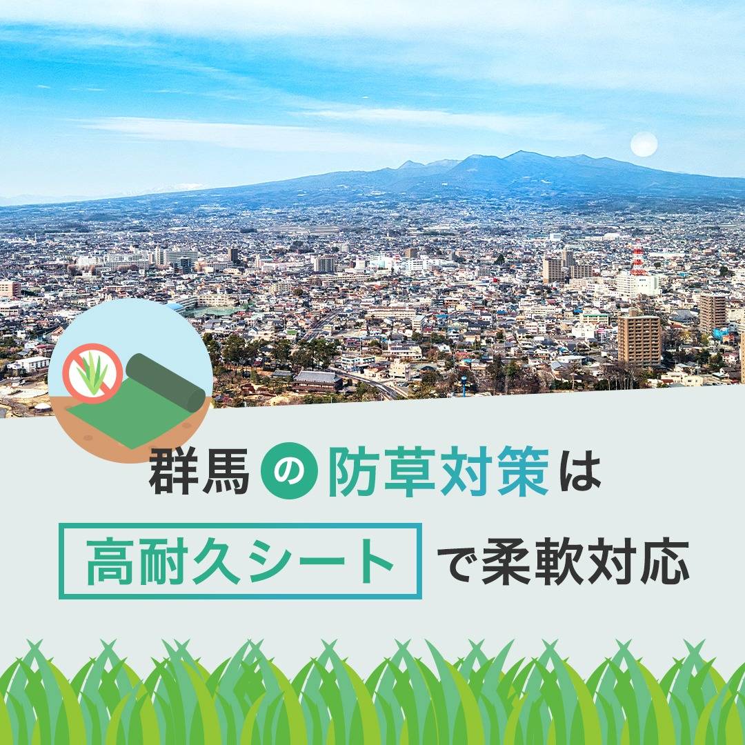 popup_banner