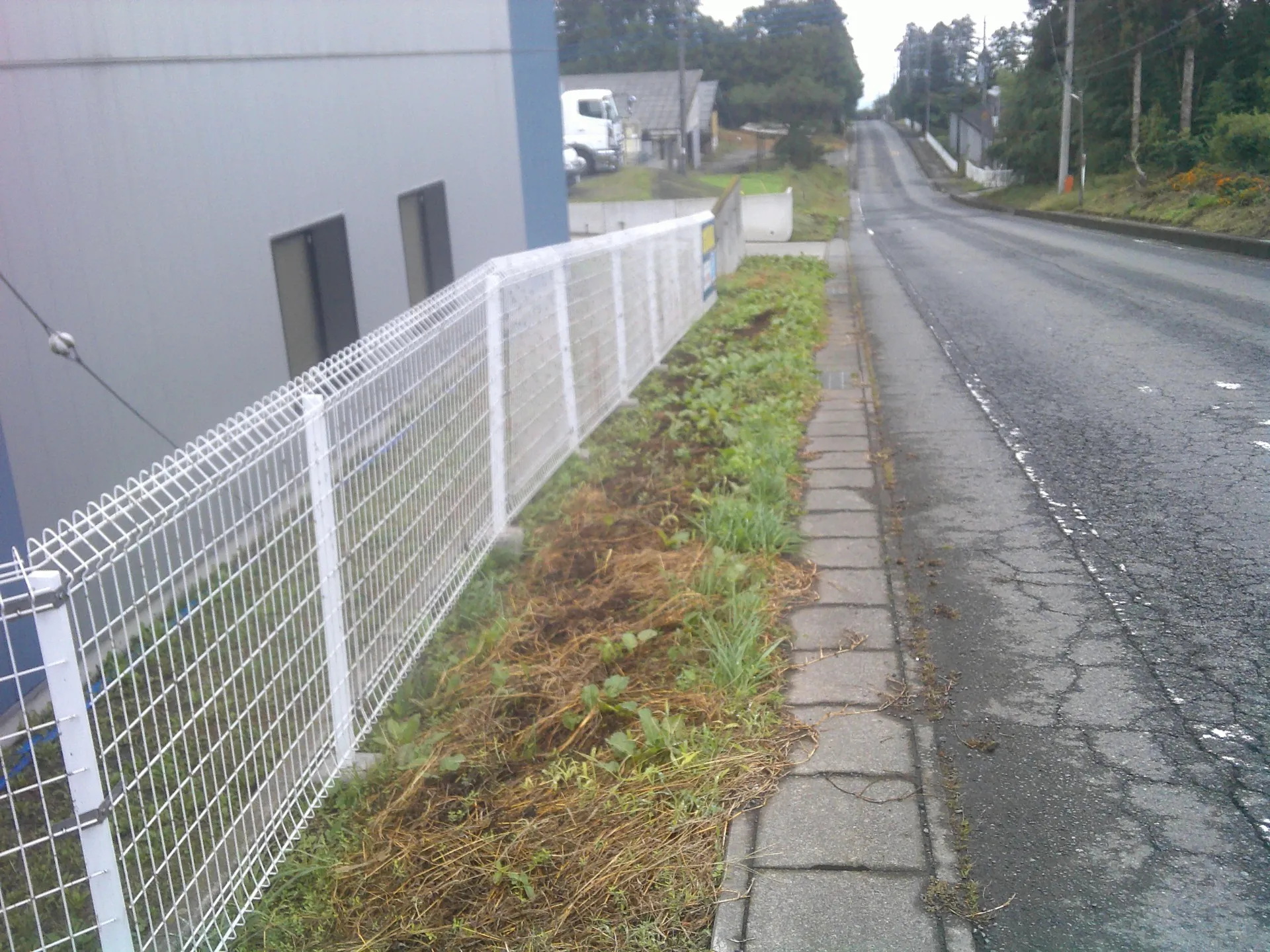 防草シート敷置5