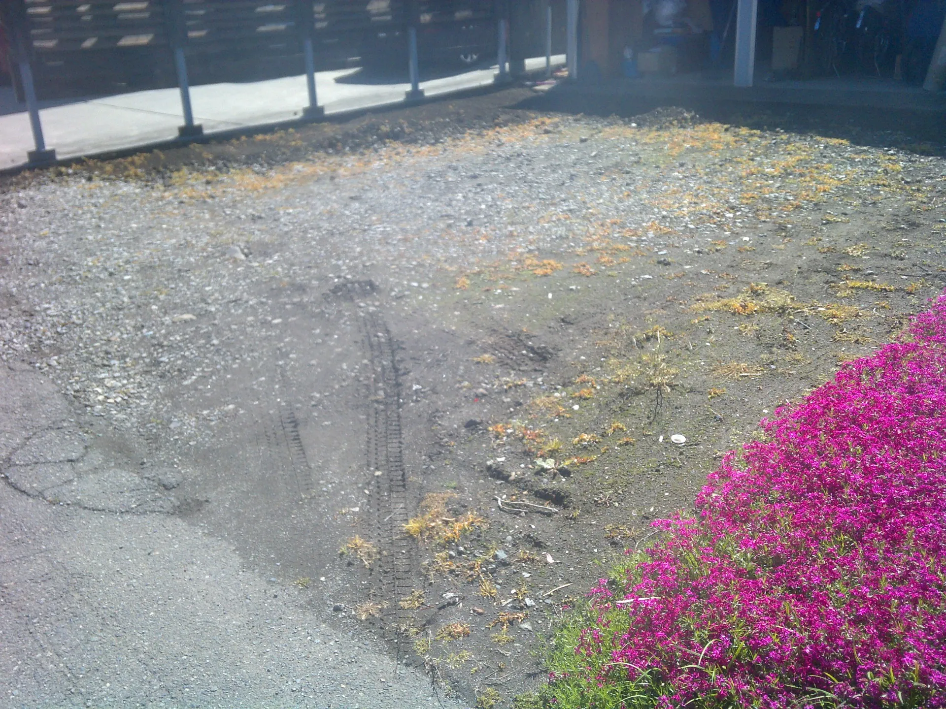 防草シート設置1